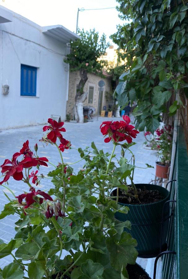 Olympios Apartment At Myrtos 1 Minute From The Beach Εξωτερικό φωτογραφία